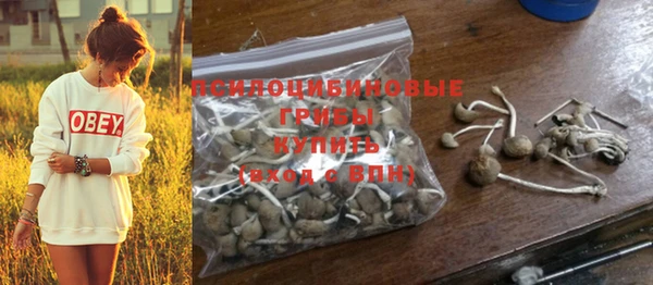 дурь Кулебаки