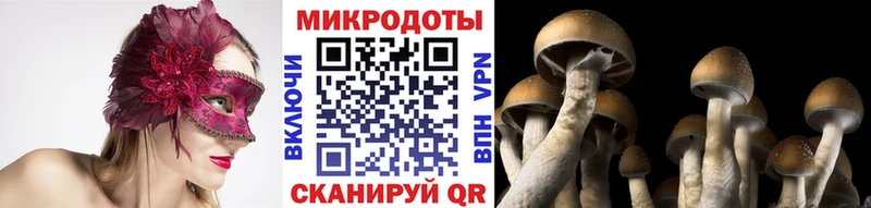 Псилоцибиновые грибы прущие грибы  цены   Новочеркасск 