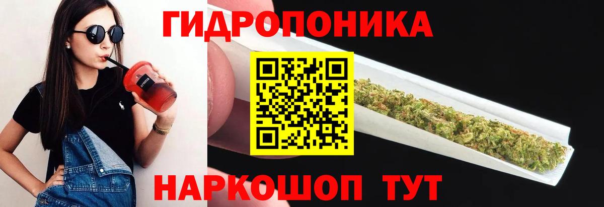 Бошки Шишки планчик  Вход с VPN  Шишки марихуана семена  Новочеркасск  МАРИХУАНА White Widow 